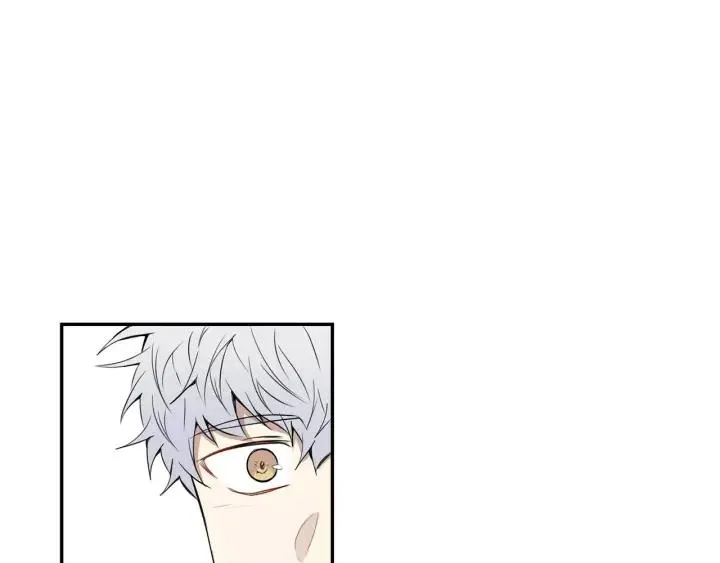 第267页