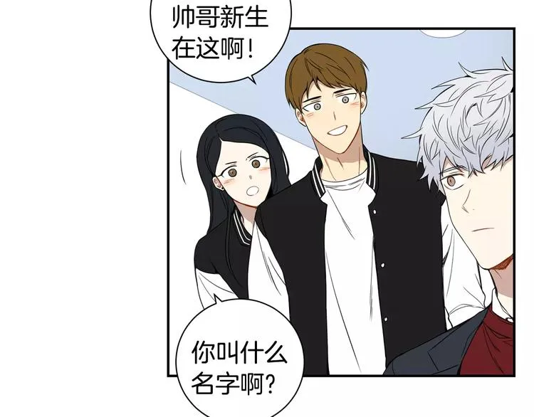 第204页