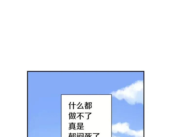 第246页