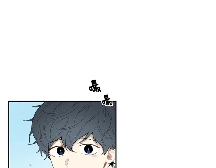 第333页
