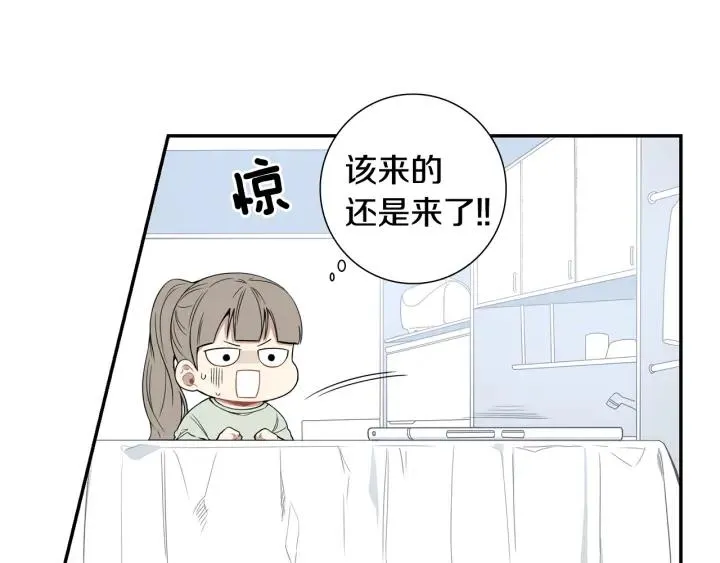 第231页