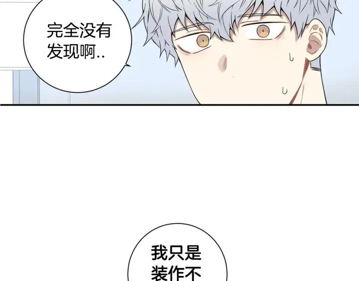 第282页