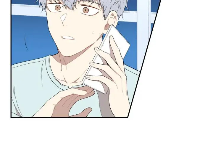 第231页