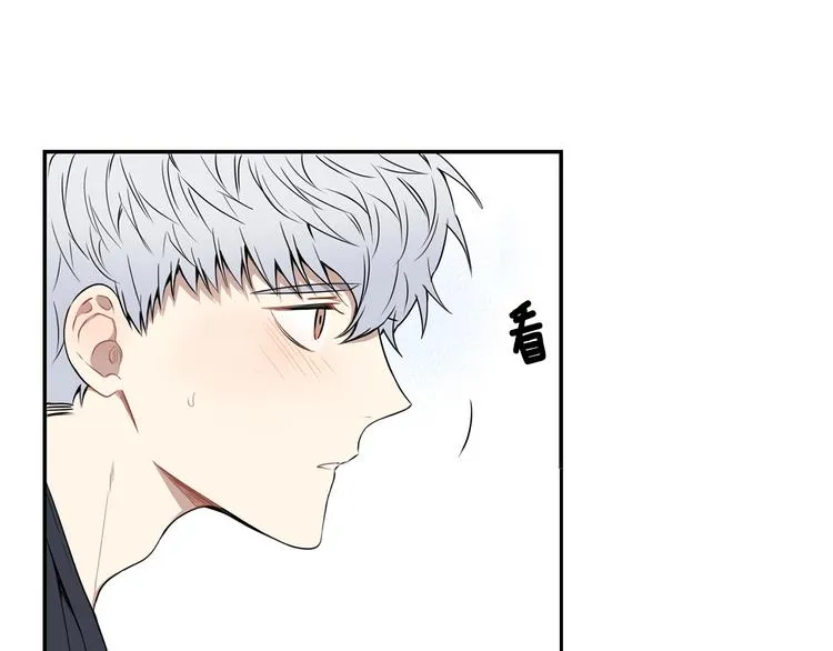 第243页