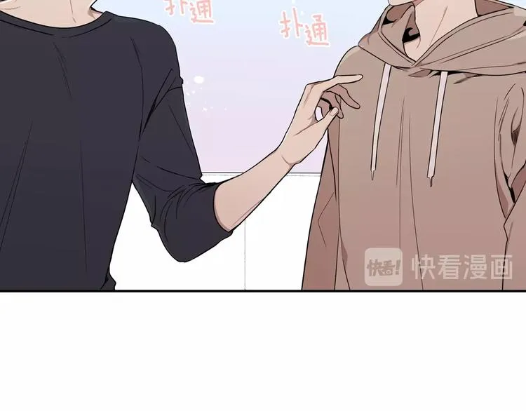 第195页