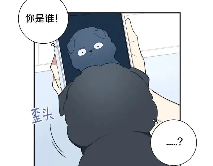 第234页