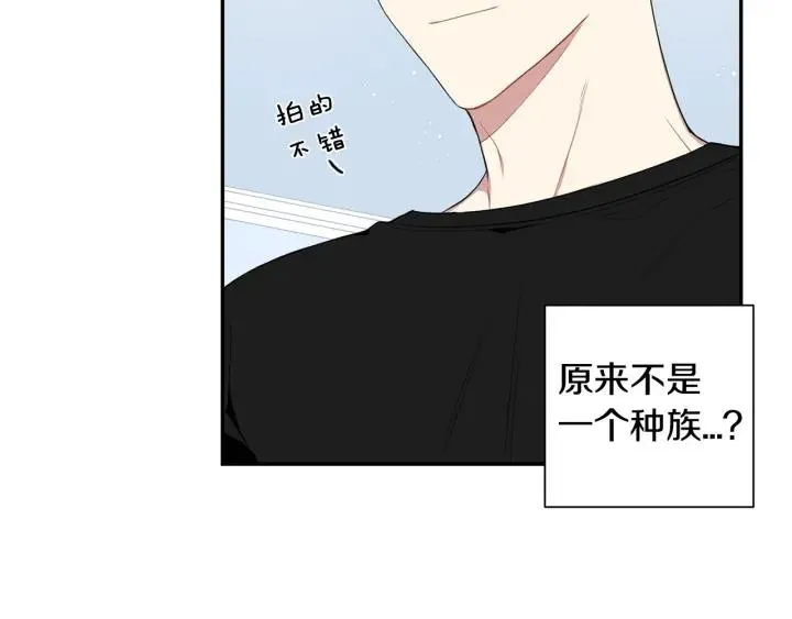 第246页