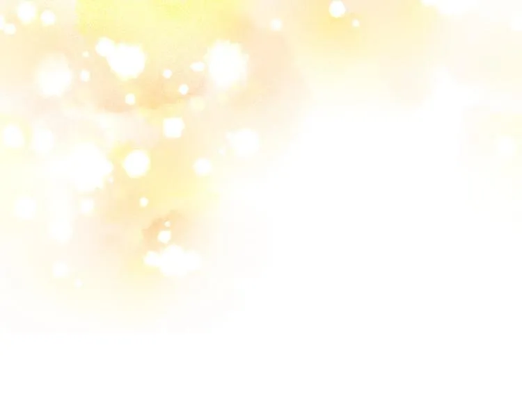 第204页