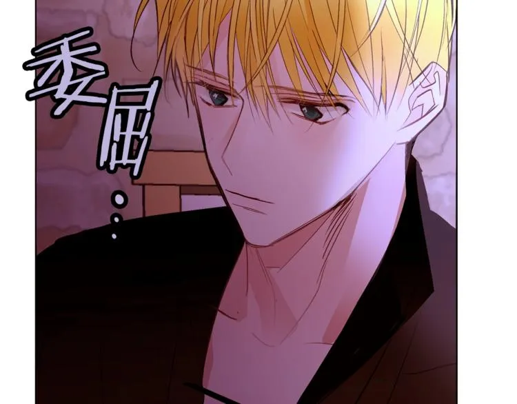 第207页