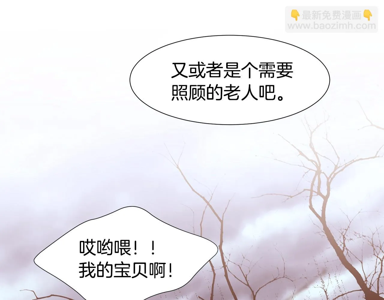 第204页