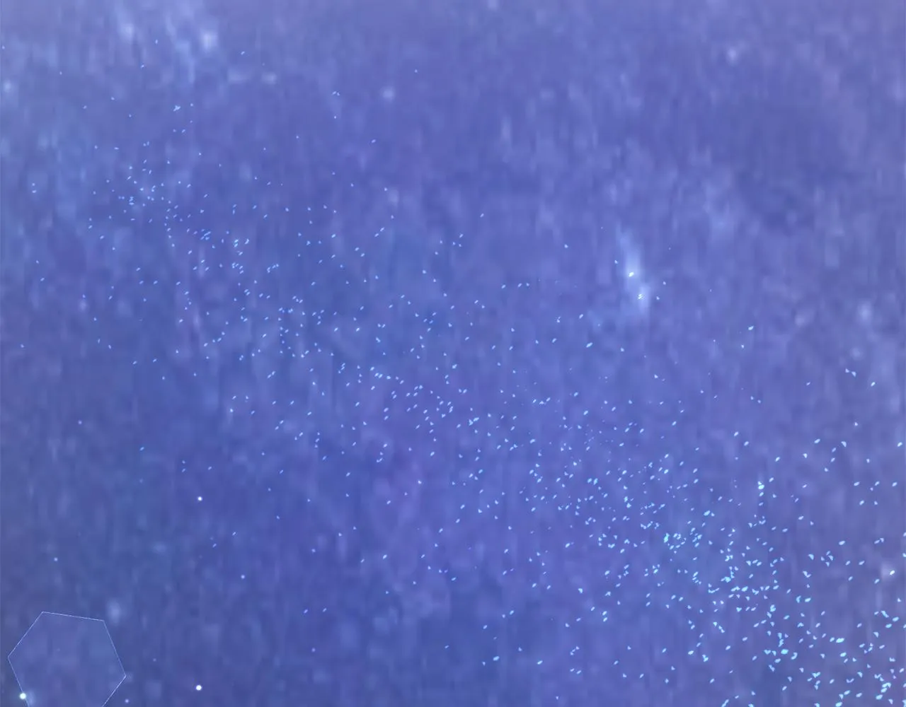 第510页