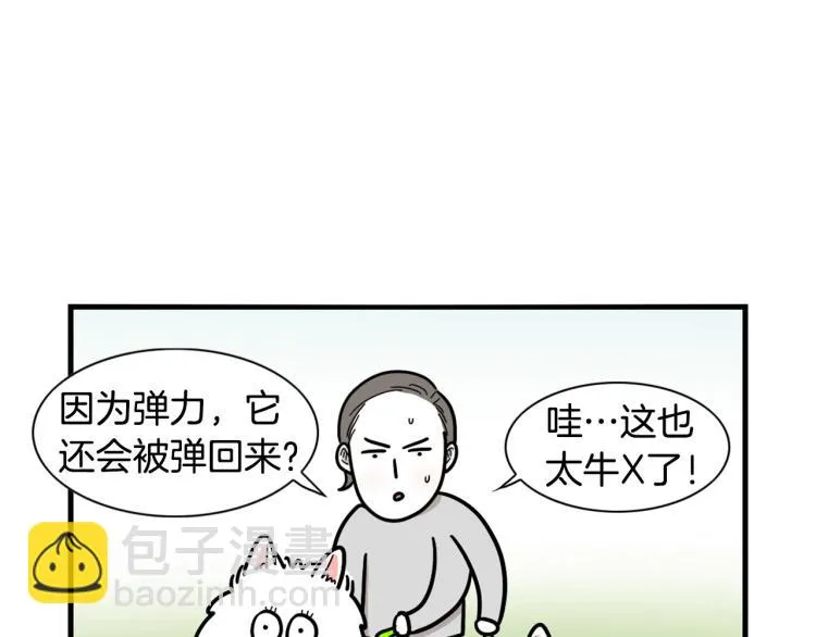 第213页