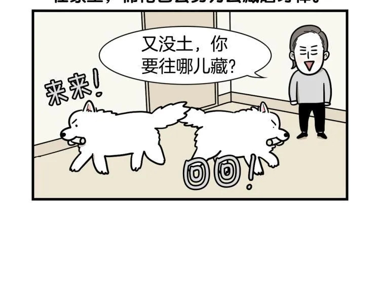 第216页