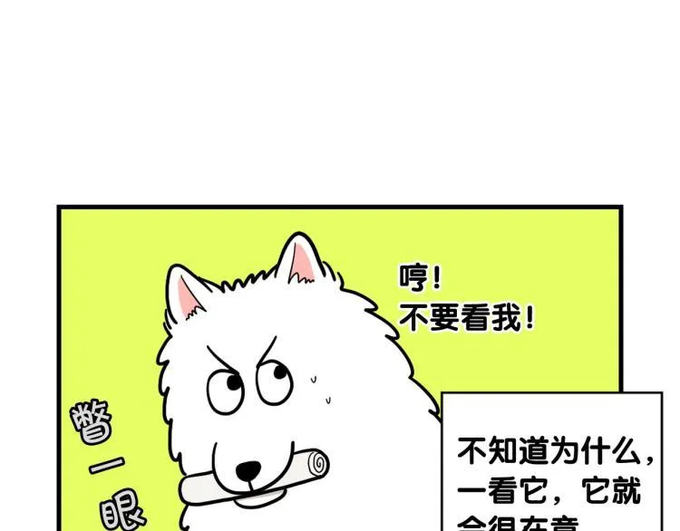 第219页