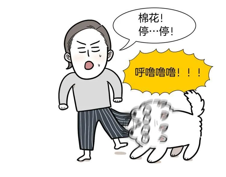 第225页