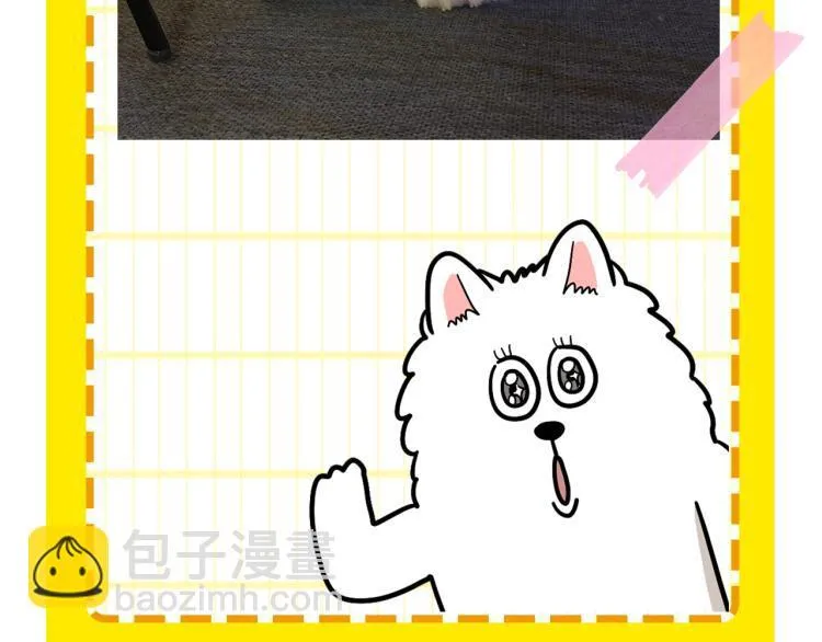 第261页