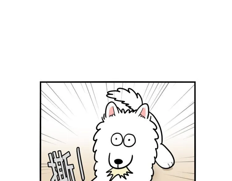第213页