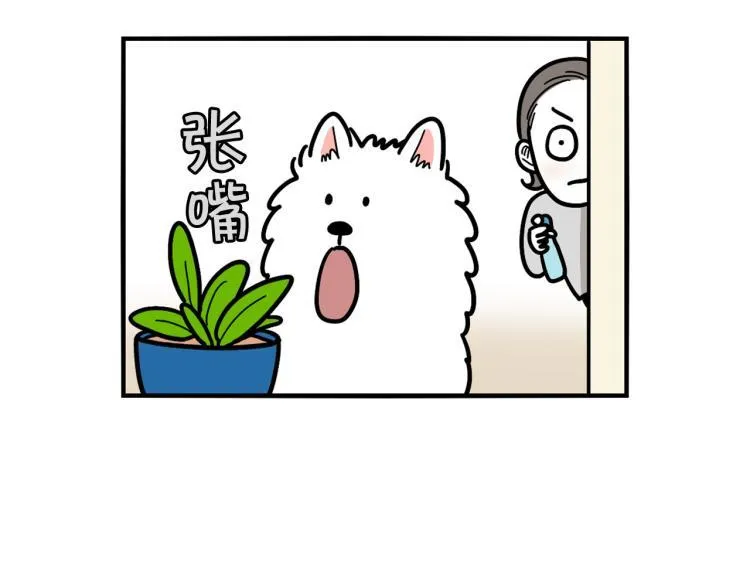 第204页