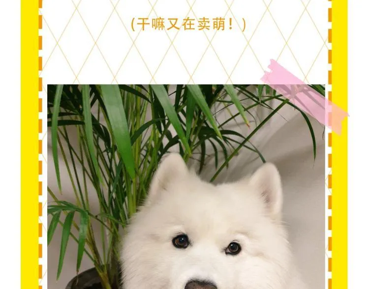 第270页