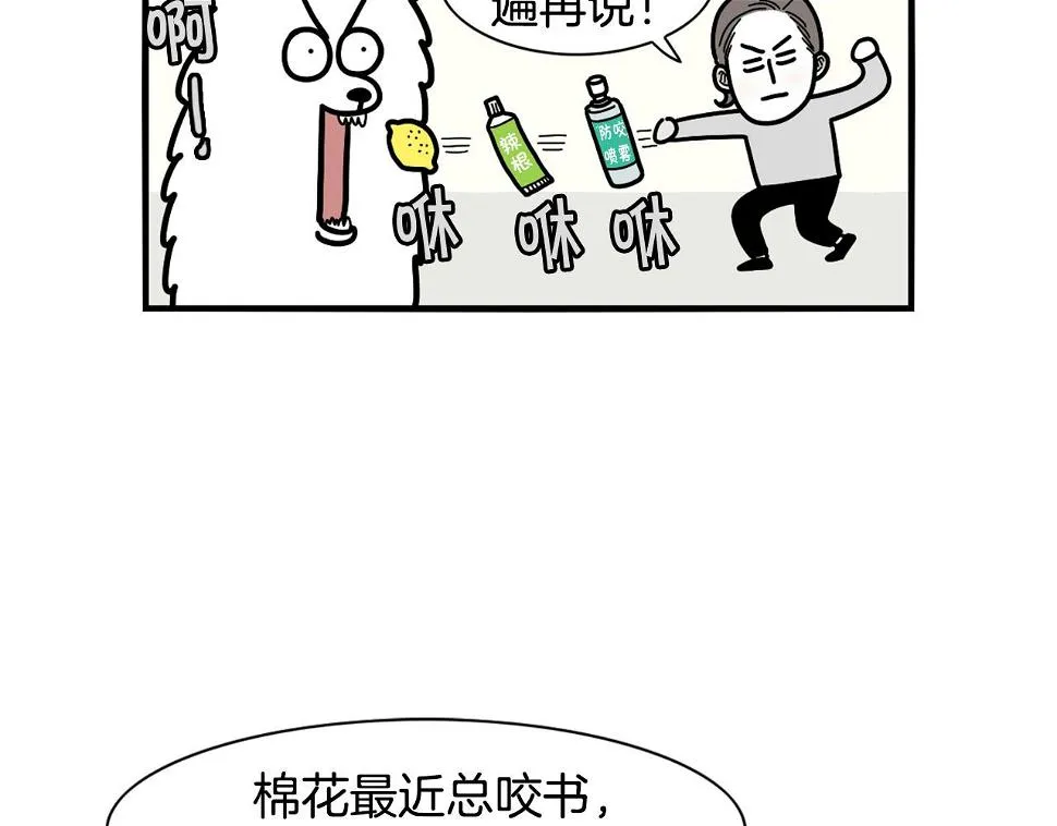 第114页