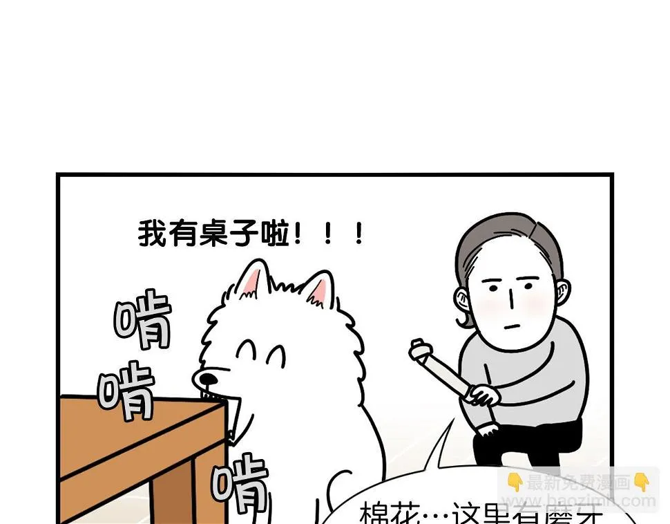 第231页