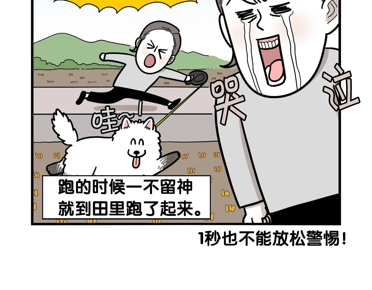 第210页