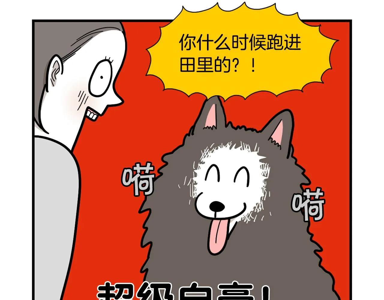第144页