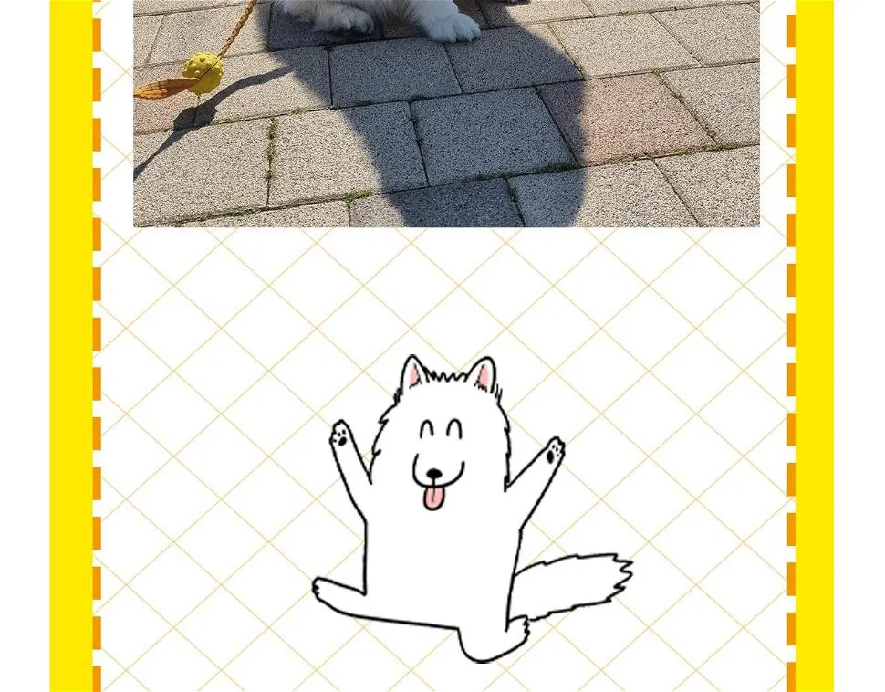 第309页
