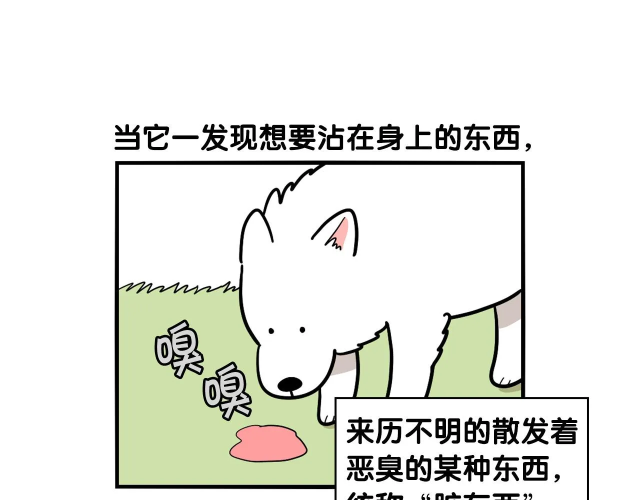 第246页