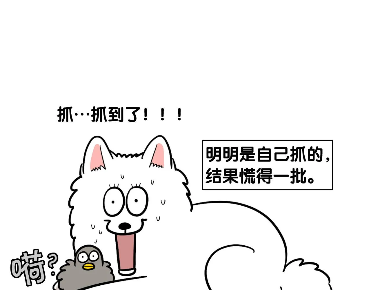 第222页