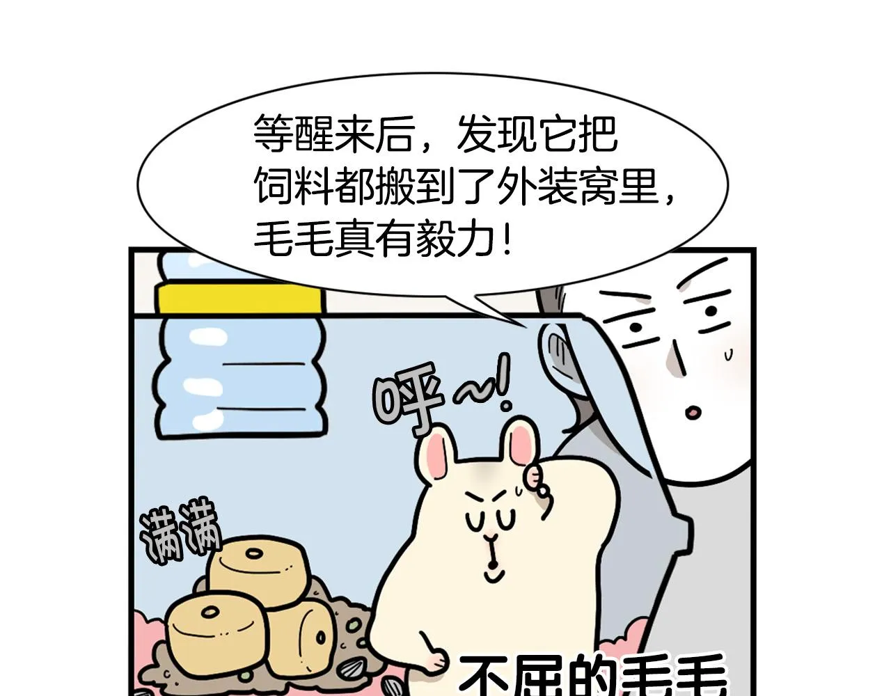第141页