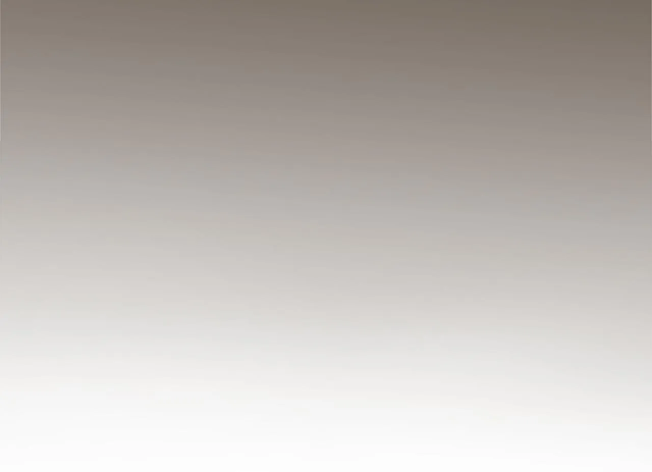 第459页