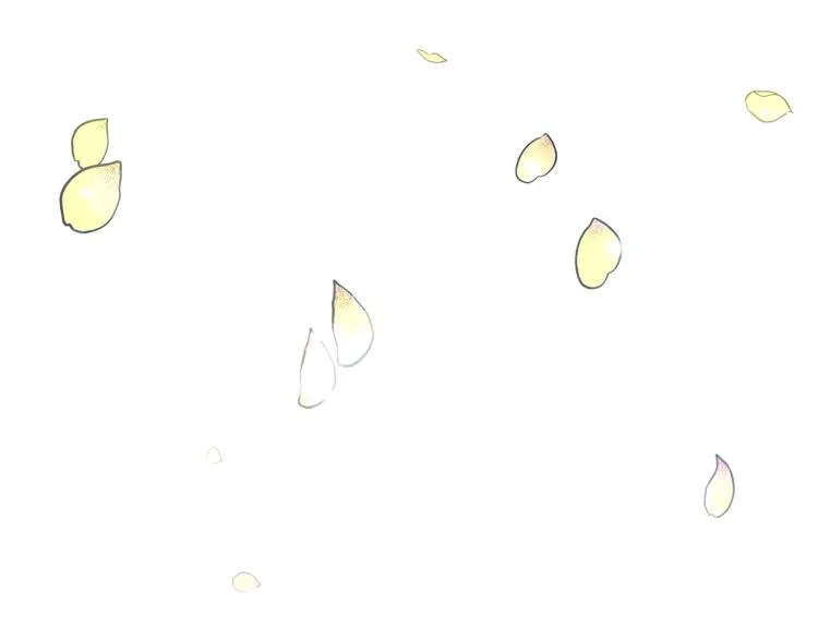 第255页