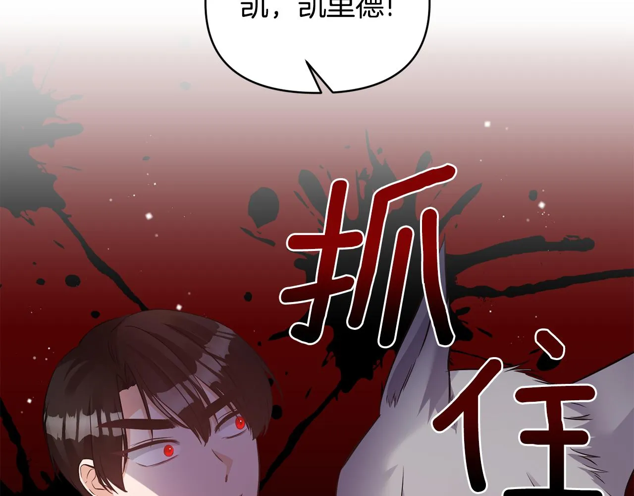 第270页