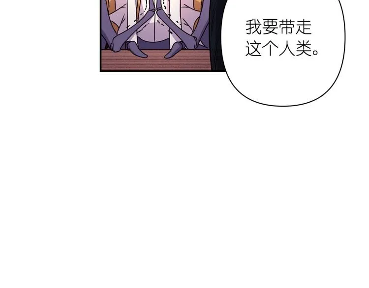 第246页