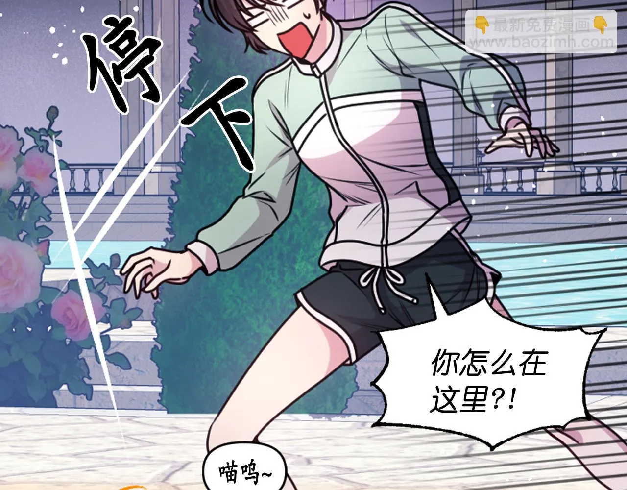 第252页