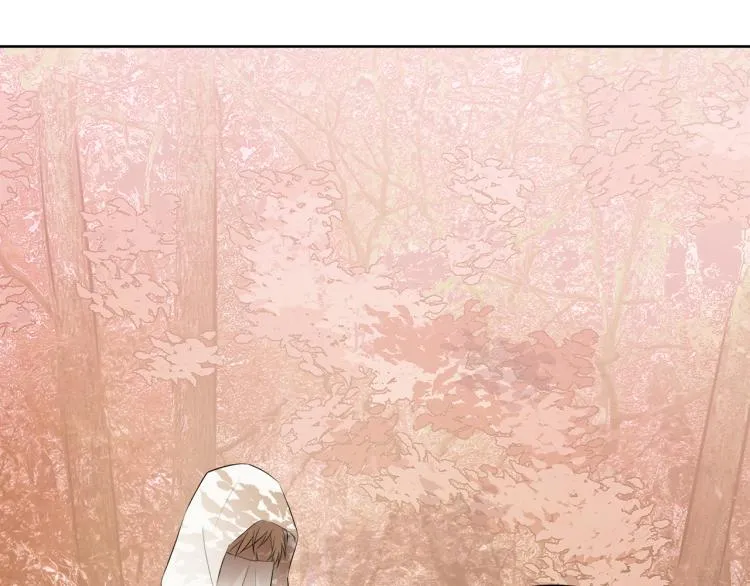 第516页