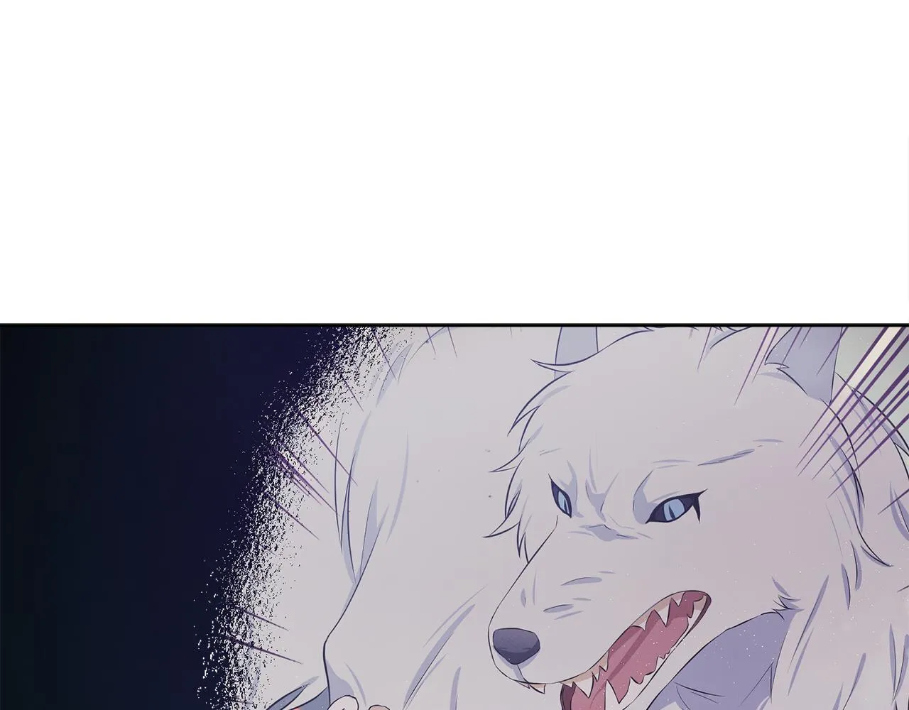 第501页