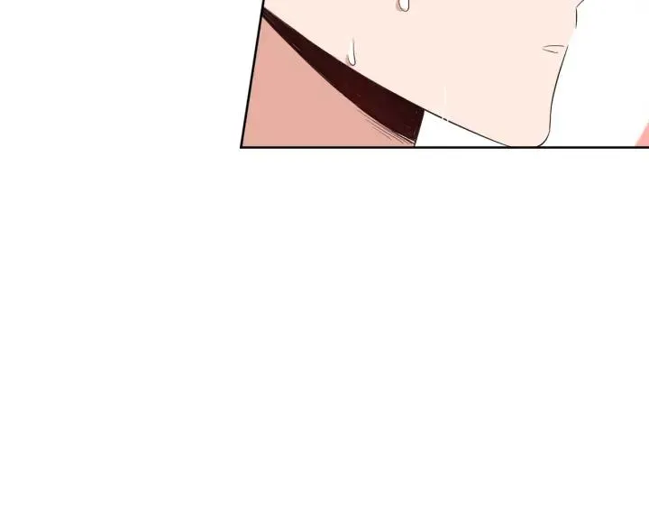 第516页