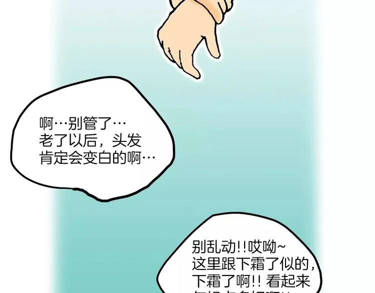 第219页