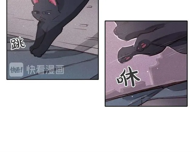 第216页
