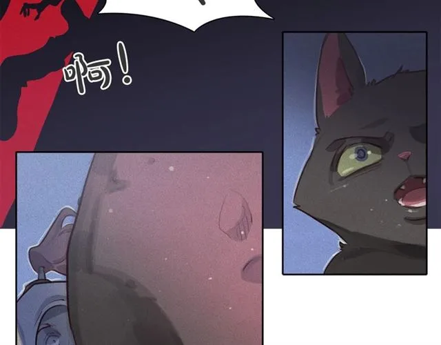第234页
