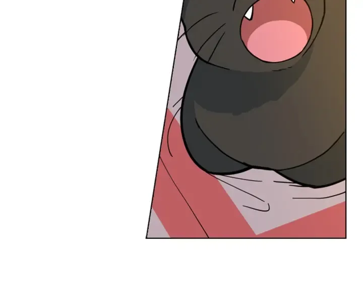 第441页