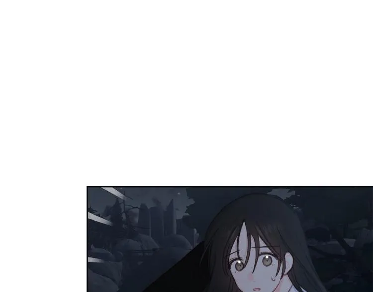 第300页