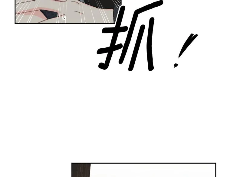 第255页