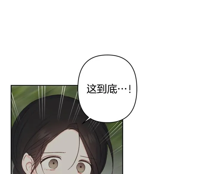 第267页