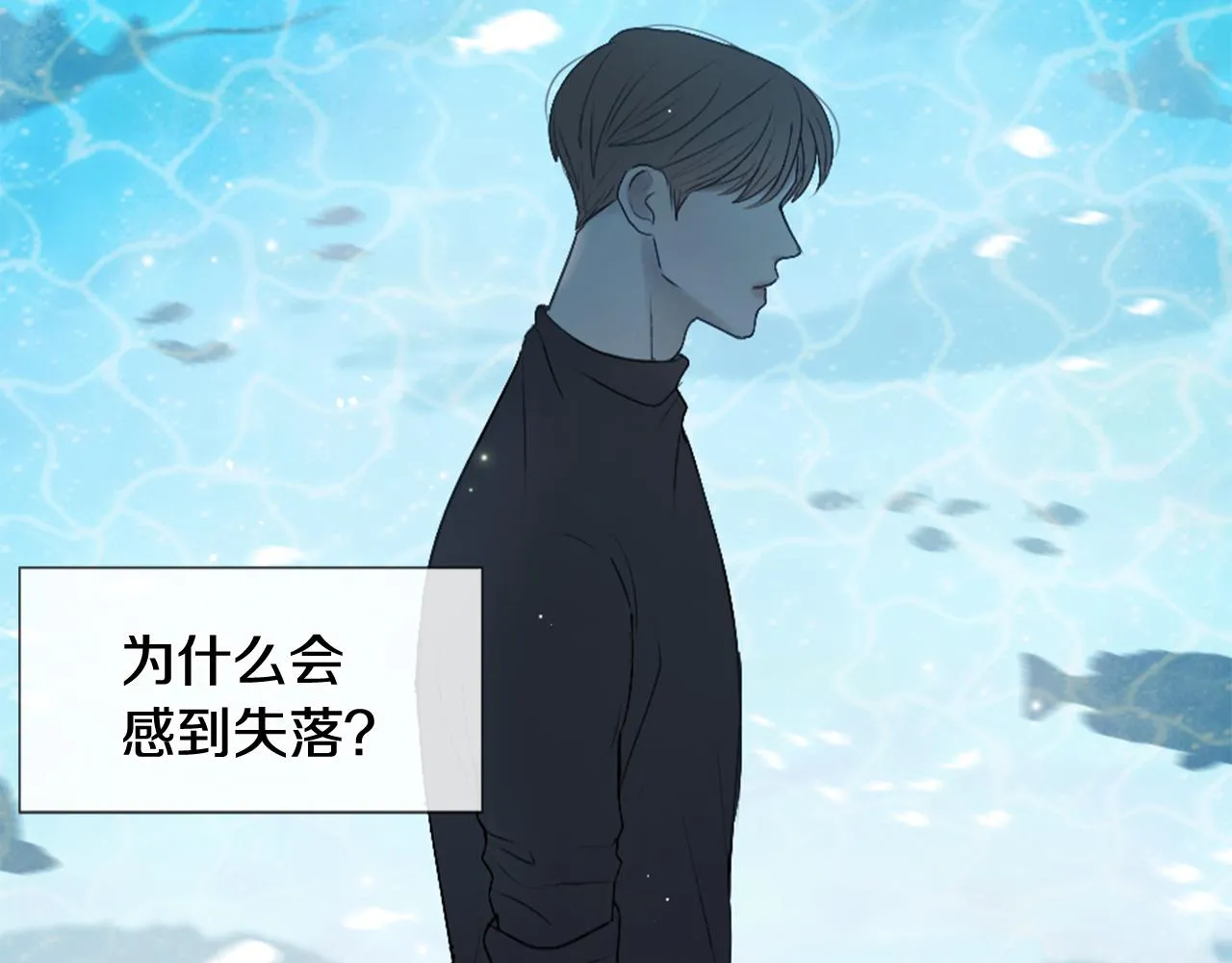 第333页