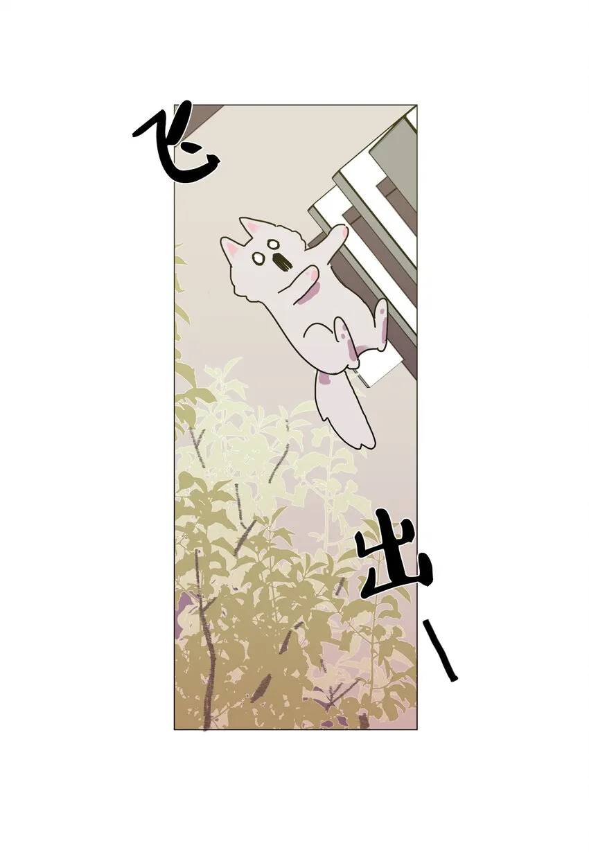 第252页