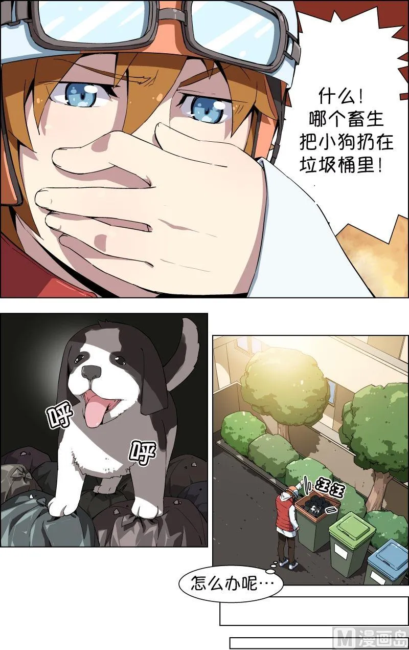 第48页