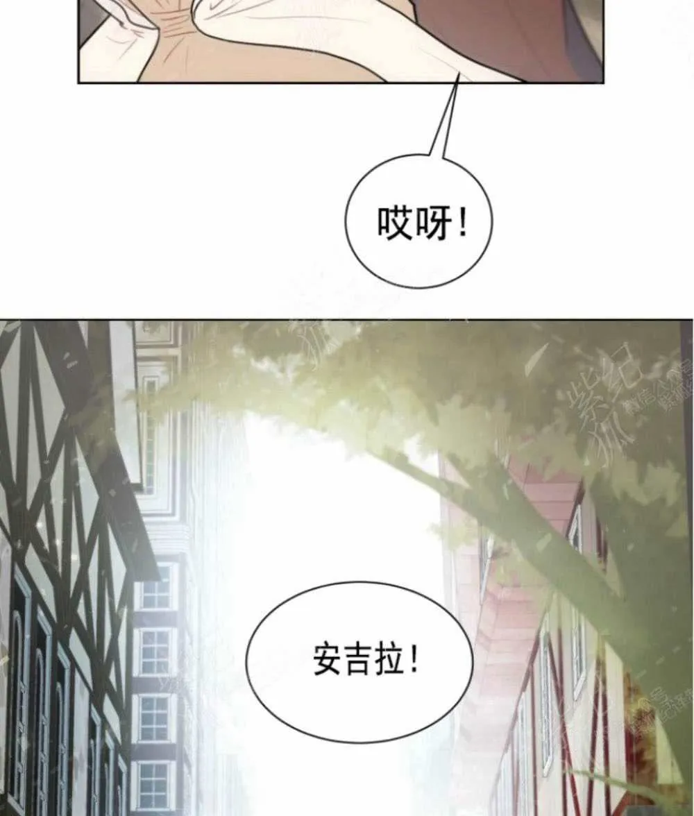 第243页